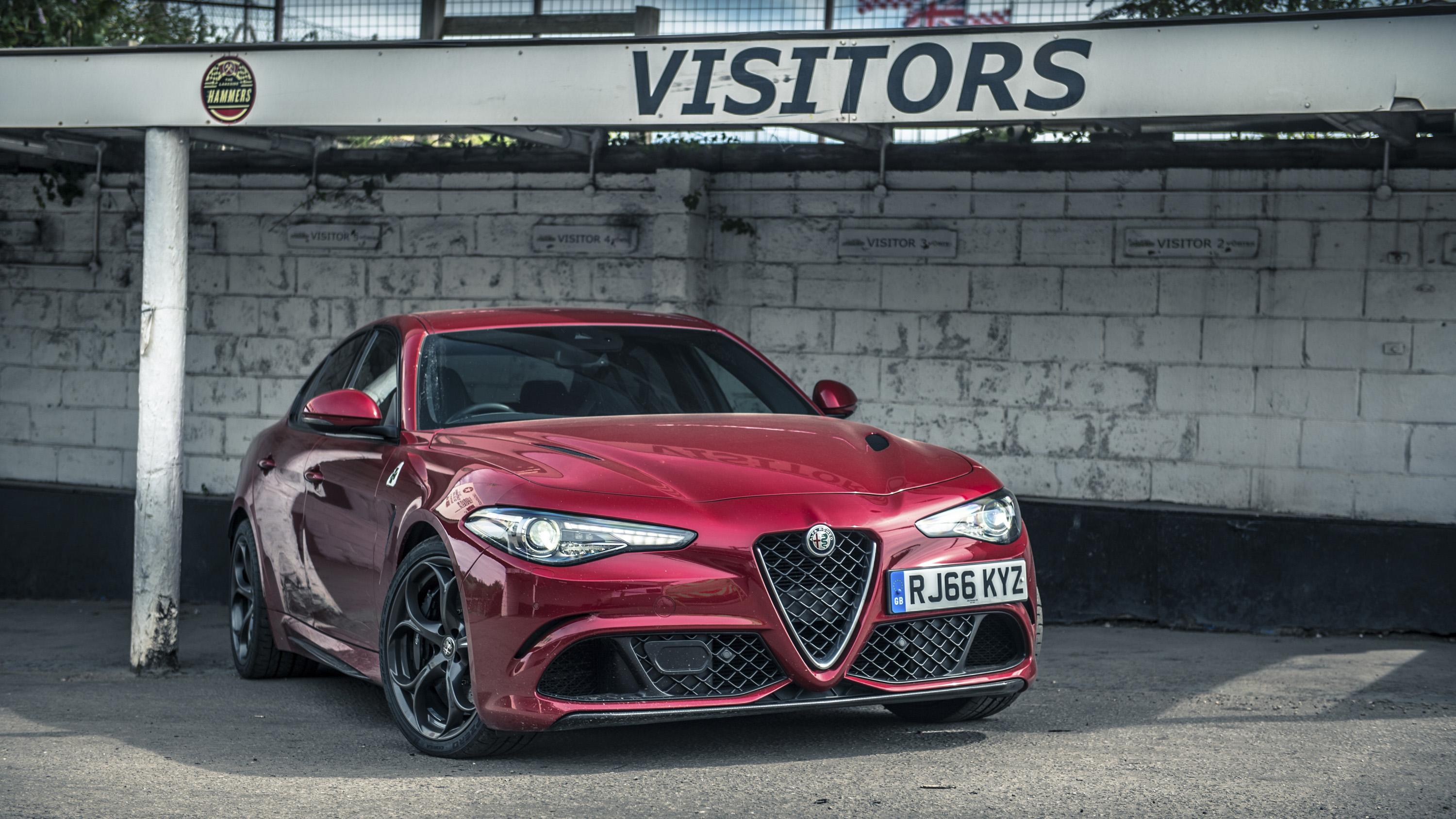 alfa1.jpg