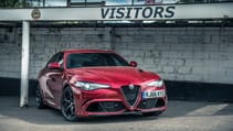 alfa1.jpg