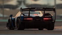 mclaren_senna_media_drive_bahrain_-_49.jpg