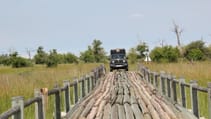 img_9874.jpg