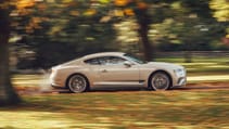 rp_-_mulliner-16.jpg