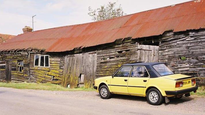 Endangered Species: Britain’s rarest cars