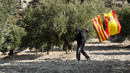 WRC Spain