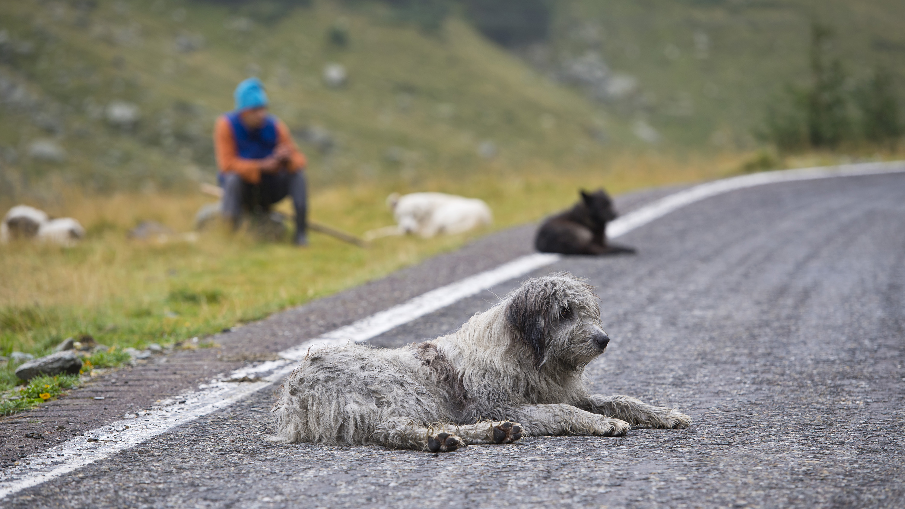 best road trips top gear