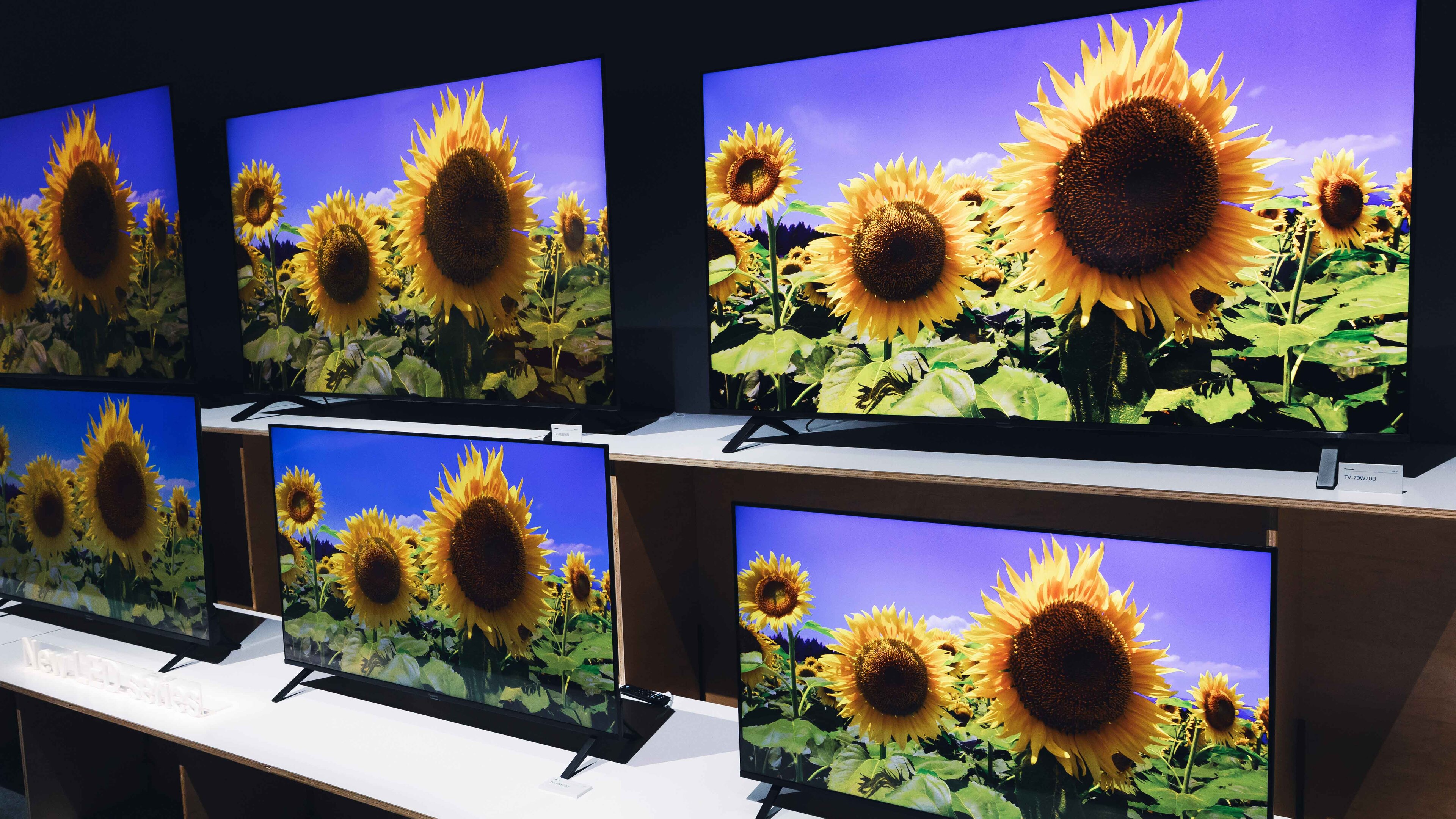 Consumer Electronics Show