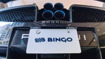 Bingo Sports Japan