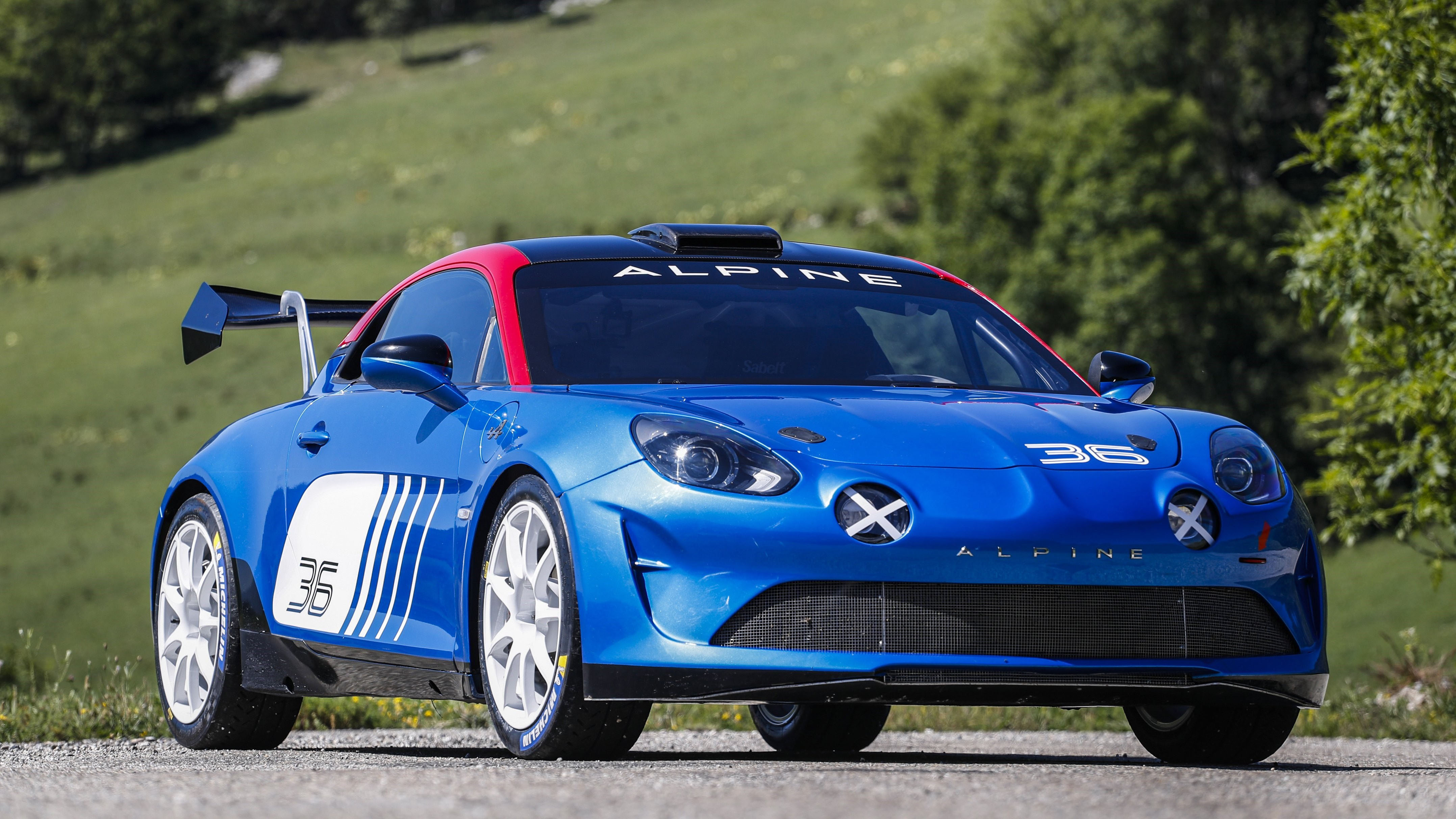 Alpine a110 rally new arrivals