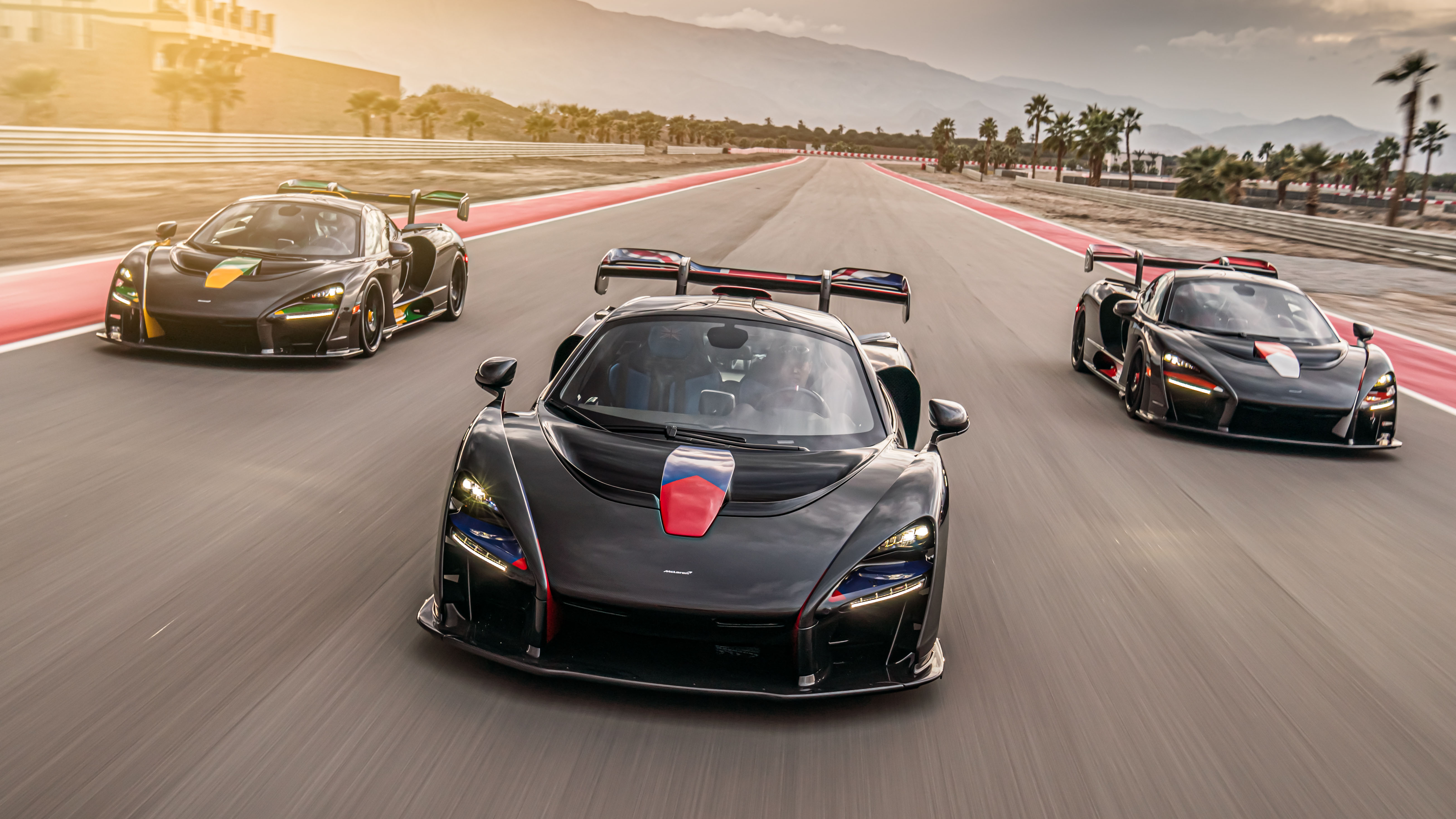 Senna edition on sale