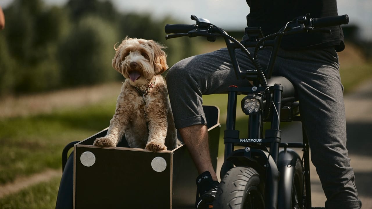 sidecar for bike for dog