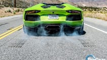 vettevslambo6.jpg