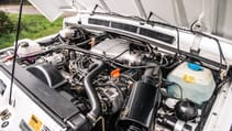 row_5557.jpg