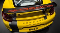 _f9r5313-edit.jpg