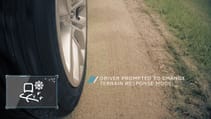surface_id_04.jpg