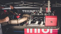 triumph_salt_lsr-162.jpg
