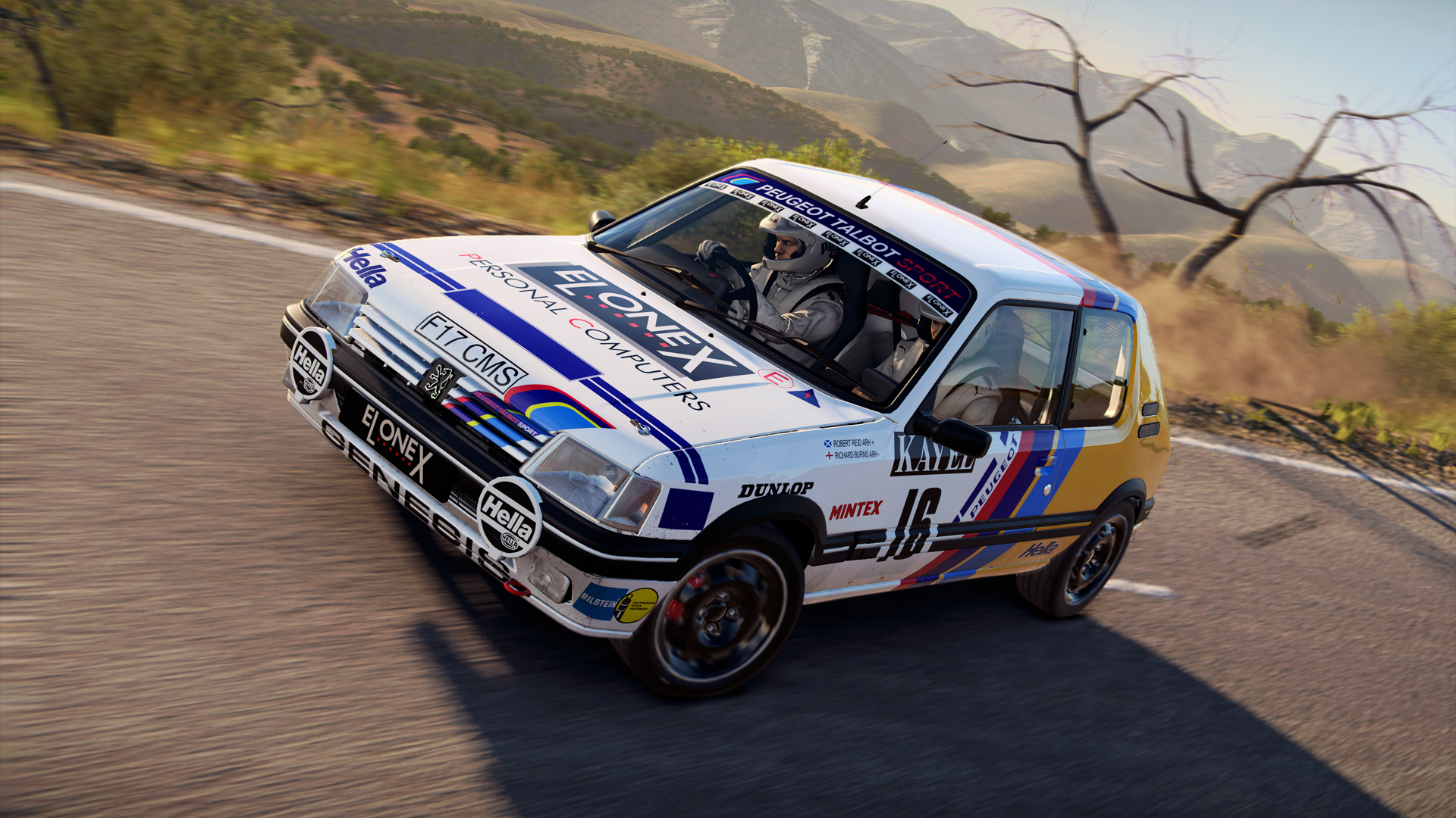 dirt 4 cars