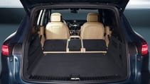 trunk_2simpv2.jpg