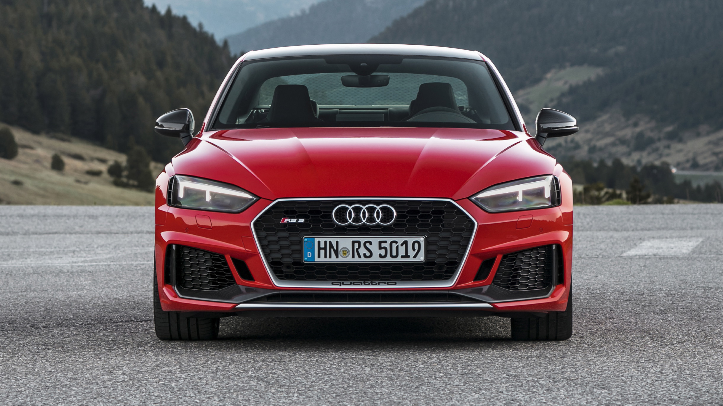 rs501004.jpg