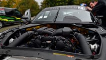 lfgtr17b_0359.jpg