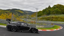lfgtr17b_0559.jpg