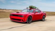 174mph-christmas-tree-05.jpg