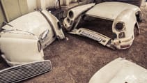 rh_pugambassador_lowres-44.jpg