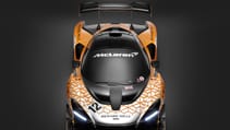 mclaren_senna_gtr_concept_02.jpg