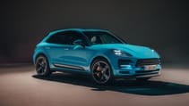 rp_-_2018_macan-4.jpg