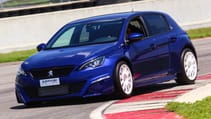 peugeot_308_by_arduini_corse_5.jpg