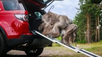 lr_petpacks_02_ramp_240818.jpg