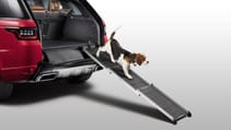 lr_petpacks_14_studio_240818.jpg