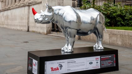 Land Rover has designed a rhinoceros | Top Gear