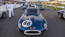 a_jaguar_e-type_on_the_grid_surrounded_by_more_e-types_aston_martin_db4_gts_and_ferrari_250_gt_swbs_by_tim_brown.jpg