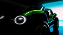 db2019au00185_large.jpg