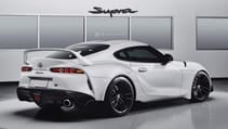 supra_edit_2.jpg