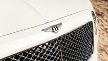 bentley_pearl_of_the_gulf_7.jpg