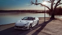 novitec_fporfin_pic06.jpg