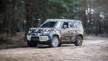 lr_defender_wlrd_30.04.19_11.jpg
