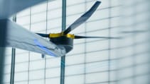bird_14_lowres_190522.jpg