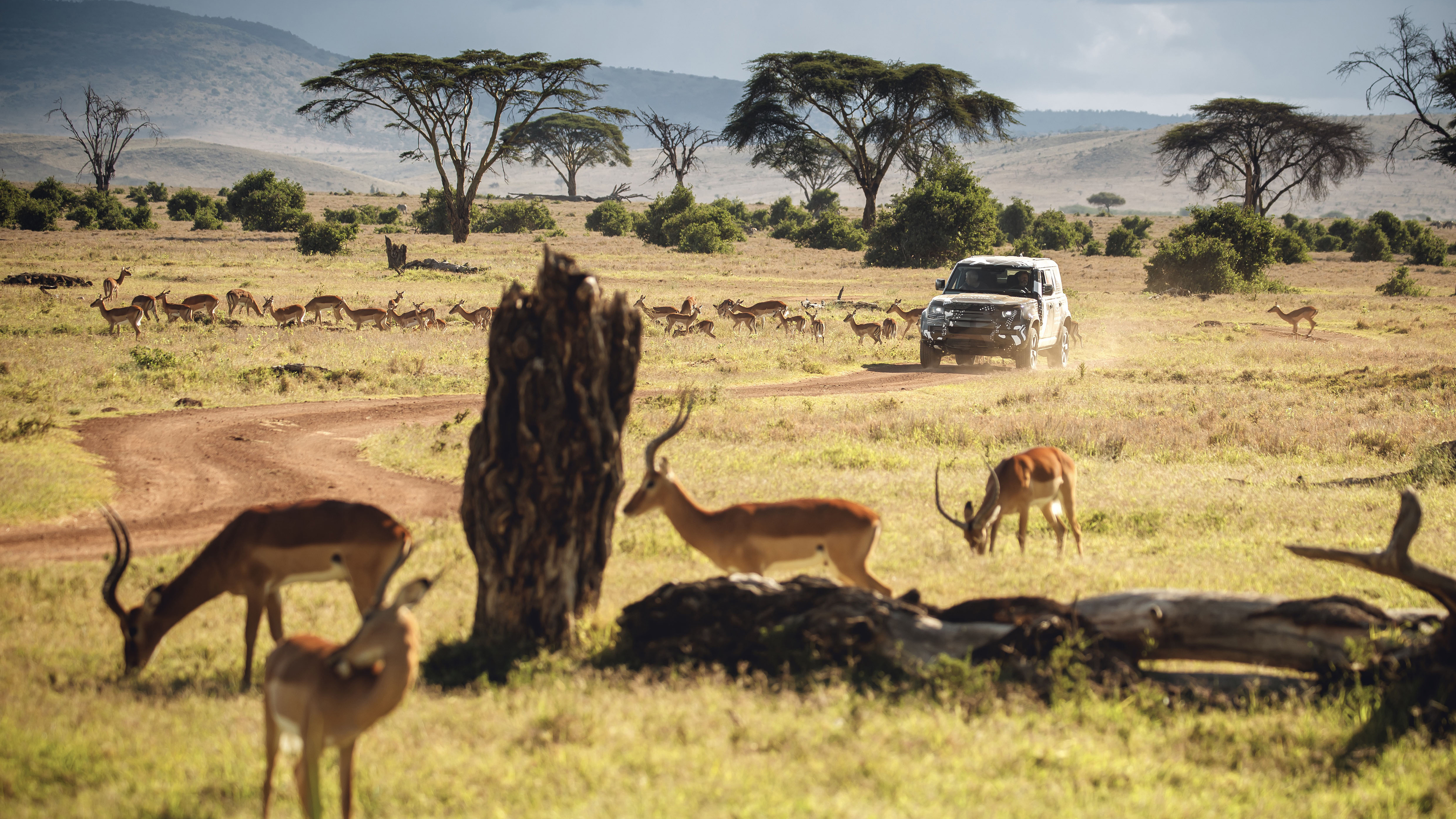lr_def_tusk_kenya_040619_02.jpg