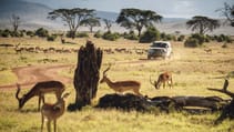 lr_def_tusk_kenya_040619_02.jpg