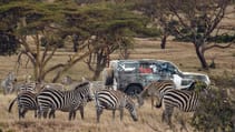 lr_def_tusk_kenya_040619_04.jpg