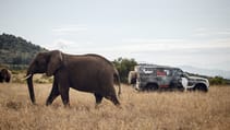 lr_def_tusk_kenya_040619_05.jpg