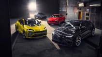 novitec_lamur_pic21.jpg