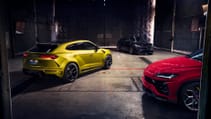 novitec_lamur_pic23.jpg