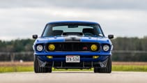 dsc_6427_final-v1.jpg