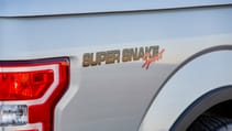 supersnakesport-g20.jpg