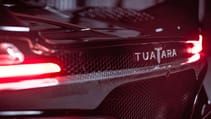 5e3b400b403bee7b055c1efd_tuatara_18.jpg