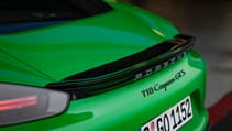 s20_0129_fine.jpg