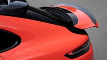 s19_2482_fine.jpg