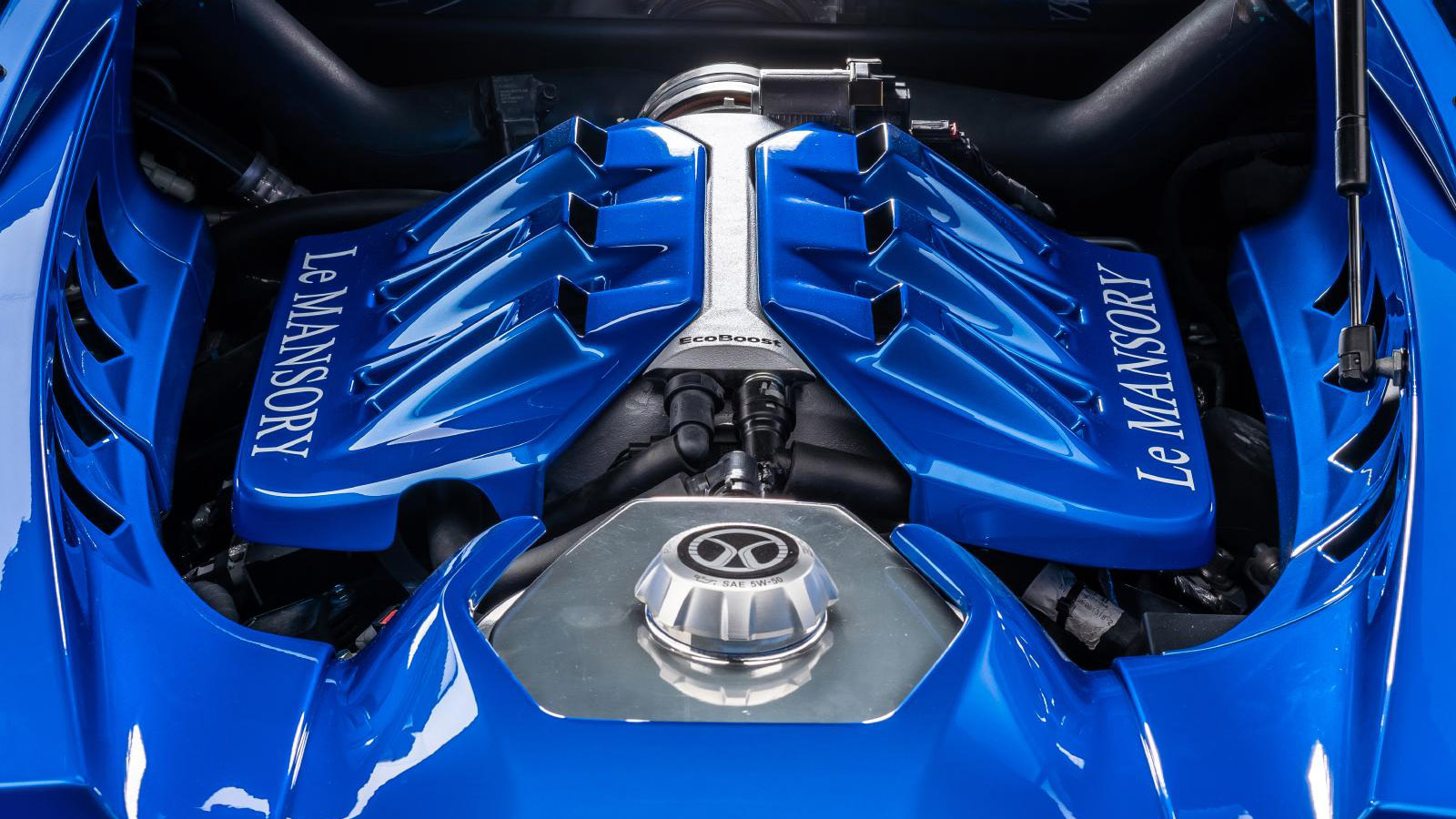 mansory_ford_gt_lemansory_11.jpg